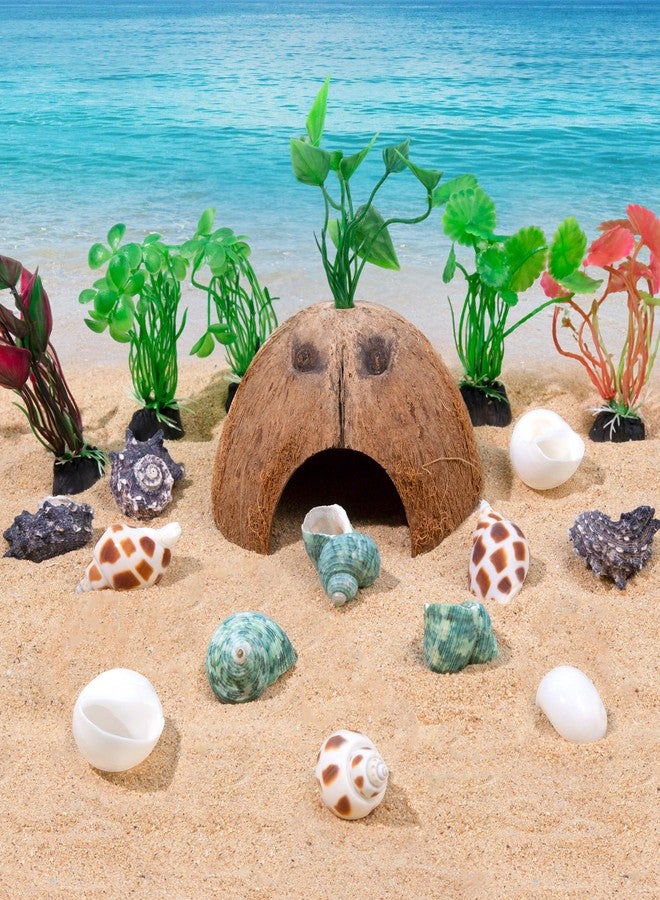 SINKOO Hermit Crab Shells Natural Coconut Shell Hut Artificial Plants 19 PCS Decoration Supplies House Tank - Image 4